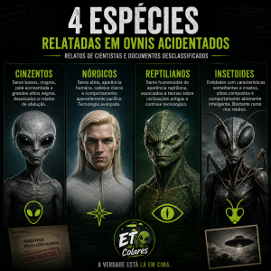 4 especies de aliens em ovnis acidentados